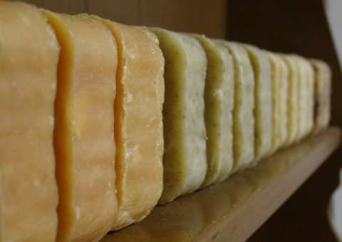 Penny Pagani Penny Pagani