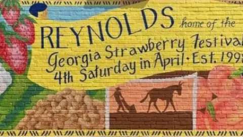 Georgia Strawberry Festival