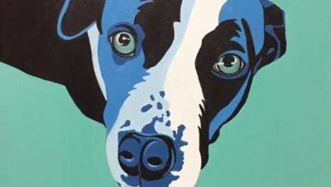 Jana Sicola Jana Sicola