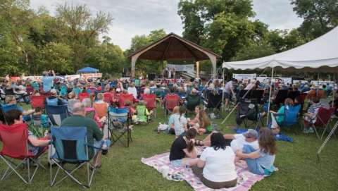 Blueberry Bluegrass Concert in the Park