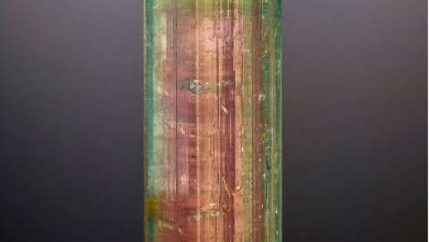 East Coast Gem, Mineral & Fossil Show