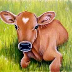 Heart Face Calf