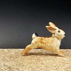Mini Bunny