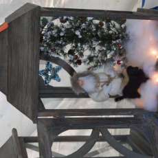 Tara Kelley-Bertrand