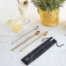 Save the Environment - Metal Straws