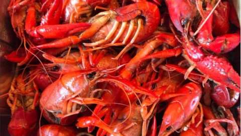 Rosewood Crawfish Festival