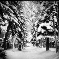 West Main Street Aspen, Colorado