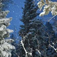 Christmas Jackson Hole, Wyoming