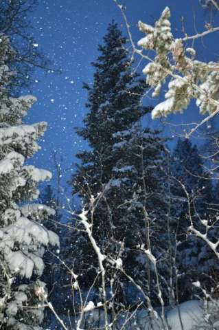 Christmas Jackson Hole, Wyoming