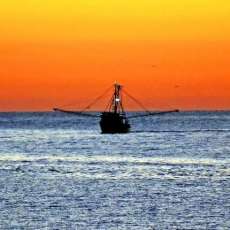 Shrimp Boat Saint Simons Island, Georgia
