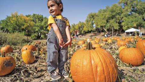 Harvest Festival at El Rancho de Las Golondrinas