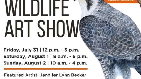 Middle Creek Wildlife Art Show