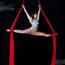 Entertainment Ontario Aerial Artist
