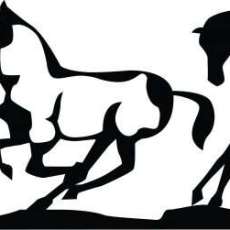 Begin Again Horse Rescue