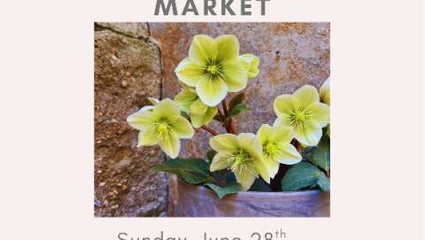 Sunday Artist and Maker Market - June
