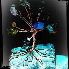 Bonsai Tree of Life