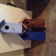 Bird Houses