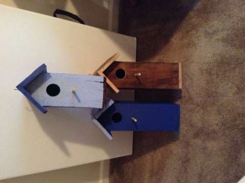 Bird Houses