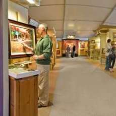 The Celebration of Fine Art