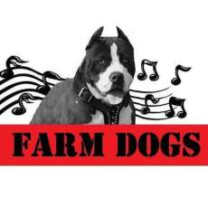 The Farm Dogs 7