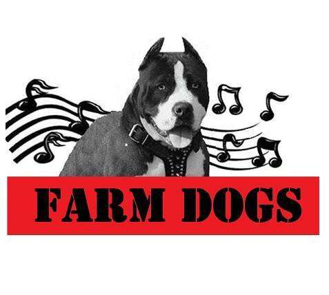 The Farm Dogs 7