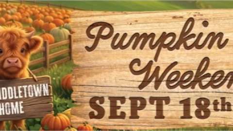 Pumpkin Fest