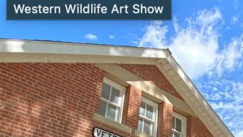 Western & Wildlife Art Show