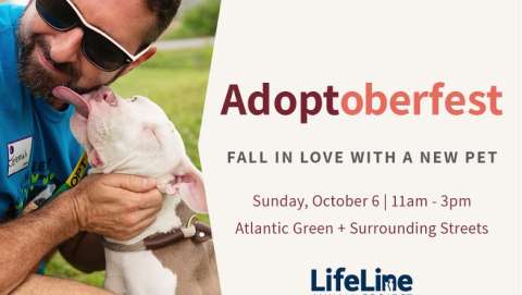 Adoptoberfest - Pet Festival at Atlantic Station