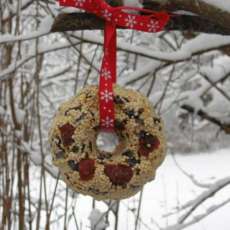 4 Birdseed Wreath