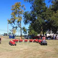All-Terrain Trackless Train