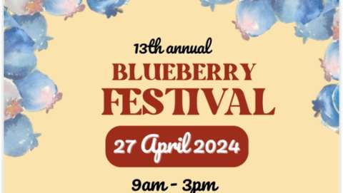 Bluegrass and Blueberry Festival