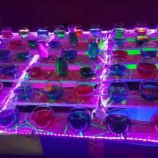 Rockhill, PA Lions Club