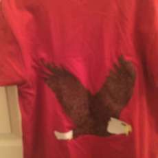 Eagle Applique