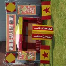 Worlds Smallest Horse