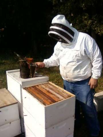 bill working  hives
