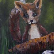 Baby Fox