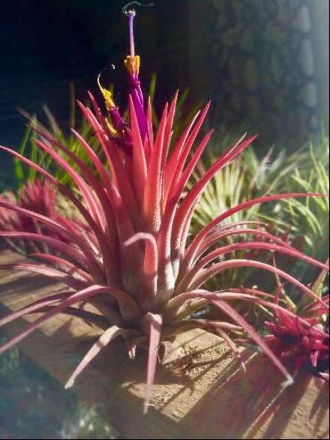 Jennifer Mrozek Jennifer Mrozek