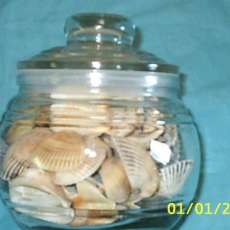 Jar O Shells