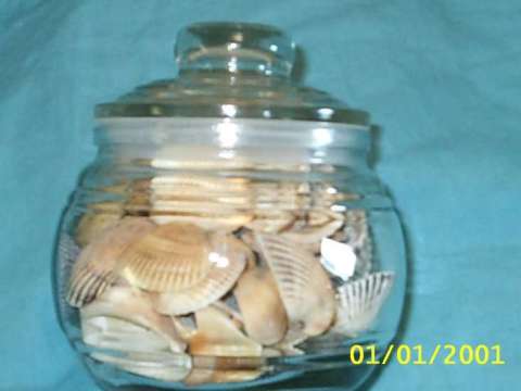Jar O Shells