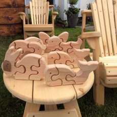 Samples of Wooden Puzzles