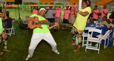 Sunshine Reggae Band at Dupage Family Fun Fest 2015