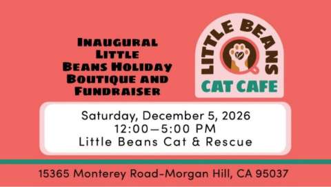 Inaugural Fundraising Boutique