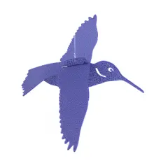 Floating Hummingbird