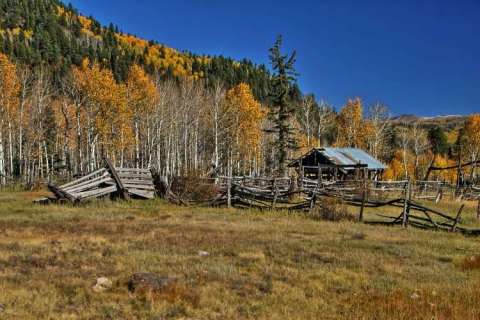 Fall in New Mexico