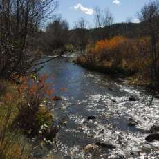 Fall in Coyote Creek