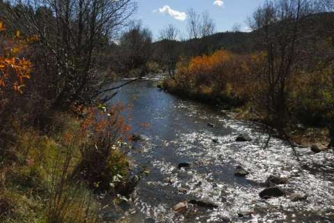 Fall in Coyote Creek