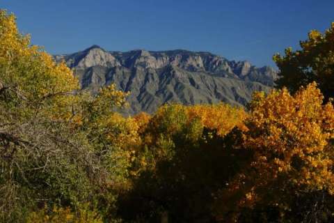 Sandia Gold