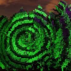 Morton _hemlock Image Mapping