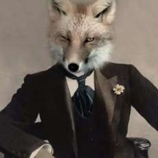 Talbot Fox