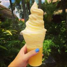 Dole Whip Float